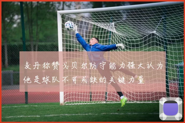 麦丹称赞戈贝尔防守能力强大认为他是球队不可或缺的关键力量