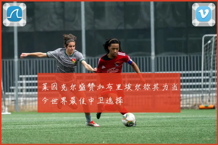 莱因克尔盛赞加布里埃尔称其为当今世界最佳中卫选择